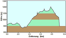 s41_hoehe_klein.gif