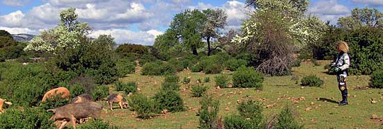 sardinien_enduro_aa.jpg