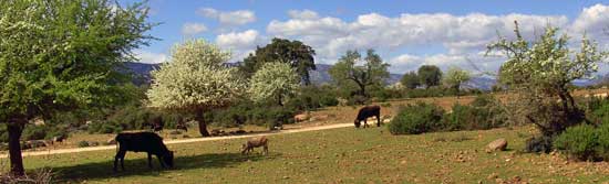 sardinien_enduro_bb.jpg