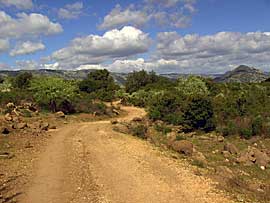 sardinien_enduro_e.jpg