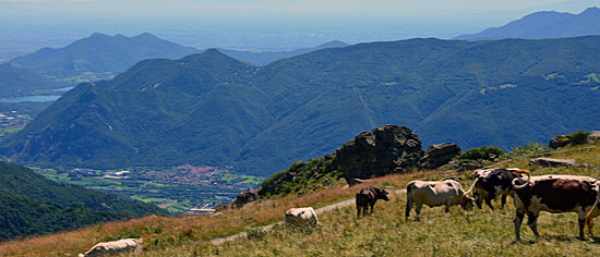 Reiseenduro Piemont.jpg