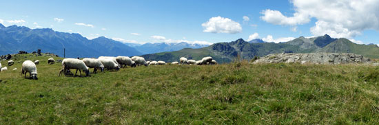 Reiseenduro Piemont.jpg