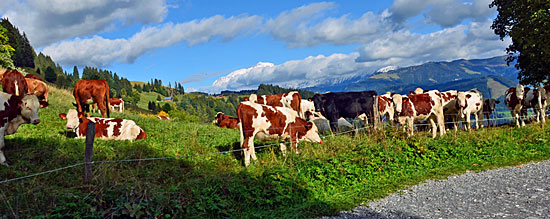 Pässe Piemont