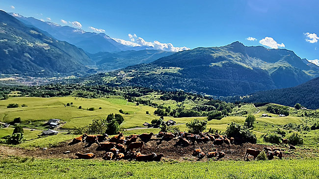 Schotterpisten Seealpen