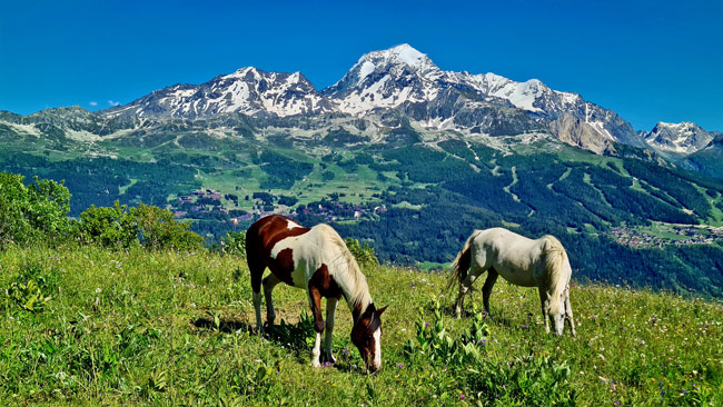 Schotterpisten Seealpen