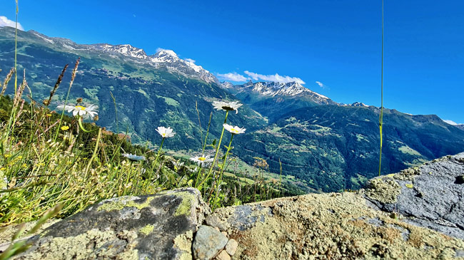 Schotterpisten Seealpen