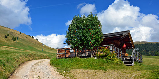 Trentino Rifughio