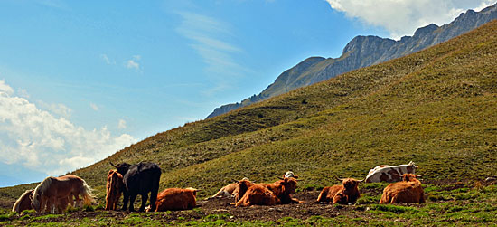 Trentino Rifughio