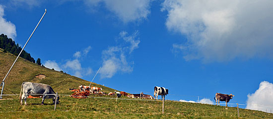 Trentino Rifughio