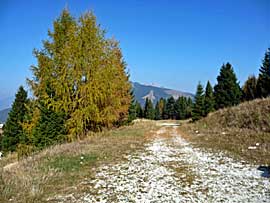 Mountenbike_Trentino_c.jpg