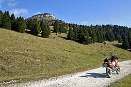Mountenbike_Trentino_f.jpg