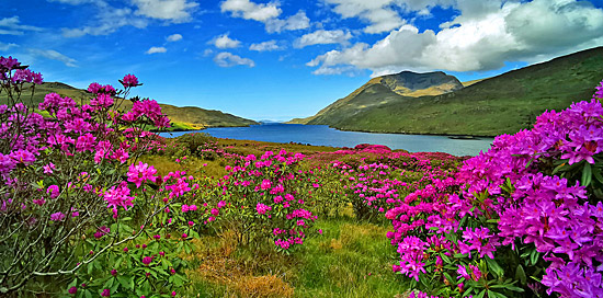 Sagenhafte Landschaft an der Westküste von Irland