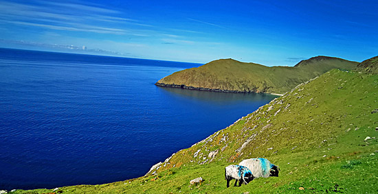 Klasse Landschaft am Atlantic Way (Irland)