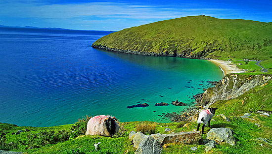 Klasse Landschaft am Atlantic Way (Irland)