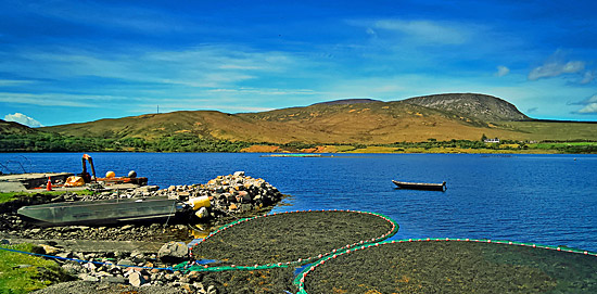 Klasse Landschaft am Atlantic Way (Irland)