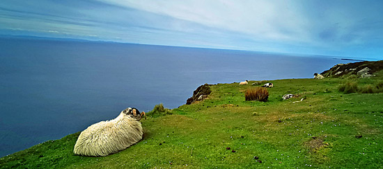 Klippen Sliabh Liag in Irland