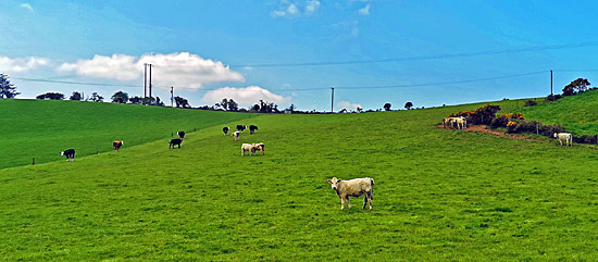 Wohnmobiltour Irland bei der Stadt Cork