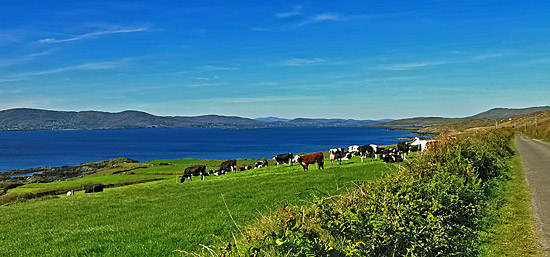 Sehenswertes auf der Halbinsel Beara auf Irland