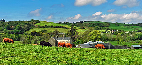 Sehenswertes auf der Halbinsel Beara auf Irland