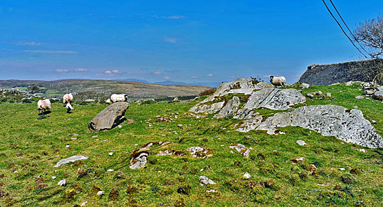 Wohnmobilreise auf die Halbinsel Beara (Irland)