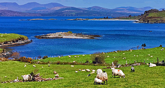 Wohnmobilreise auf die Halbinsel Beara (Irland)