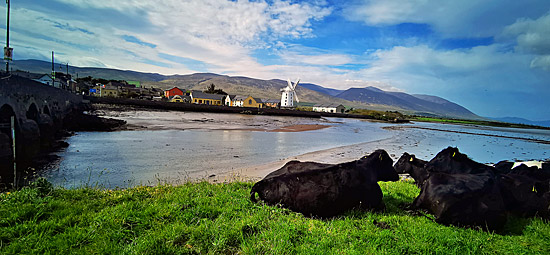 Campertour auf die Halbinsel Dingle in Irland