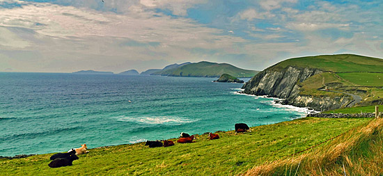 Campertour auf die Halbinsel Dingle in Irland