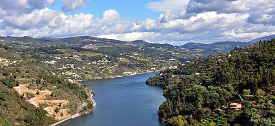 weinanbau portugal